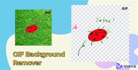 GIF background remover interface example