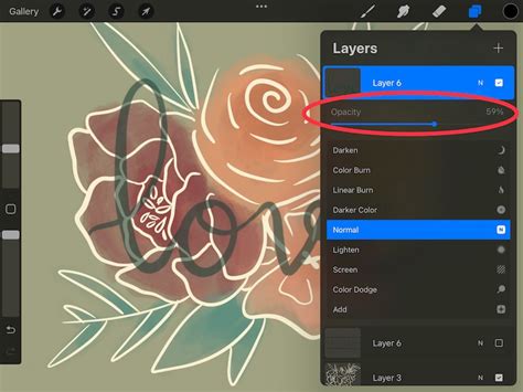 Procreate Layers Panel with Opacity Slider Highlighted