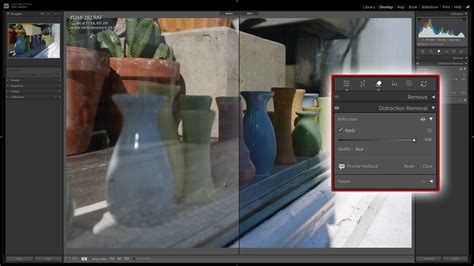 Screenshot of Lightroom's Remove Tool panel with Reflection Removal highlighted