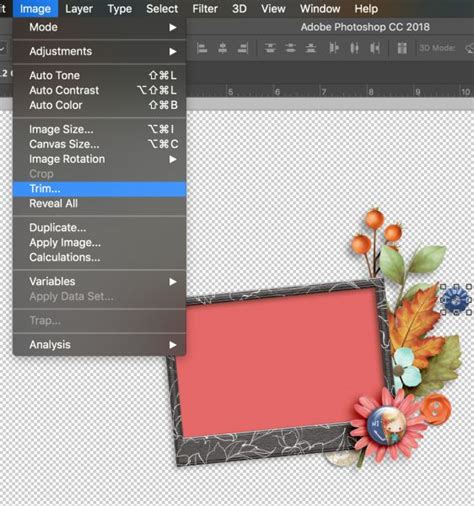Photoshop Trim dialog box