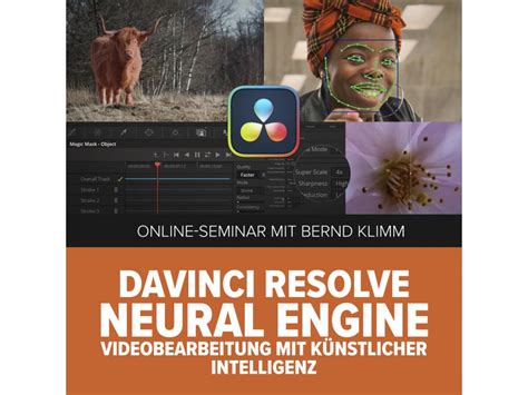 DaVinci Resolve AI Neural Engine Diagram