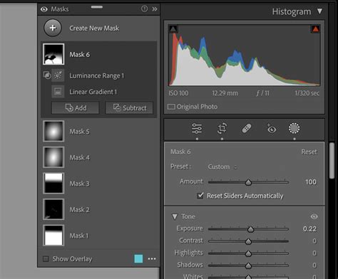 Adobe Lightroom interface showing the Masking panel
