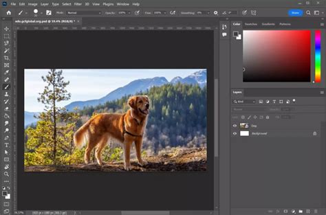 Adobe Photoshop software interface
