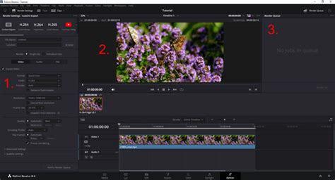 DaVinci Resolve Deliver Tab Interface