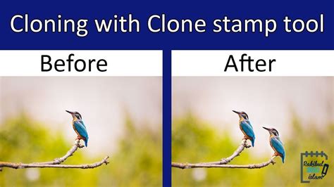 Photoshop Clone Stamp Tool in action, sampling and painting