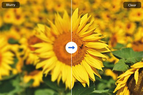 Split screen showing original image and image with blurred background