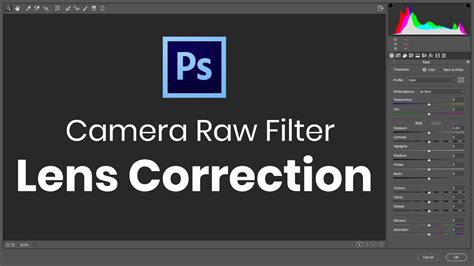 Screenshot of Photoshop's Camera Raw filter with Lens Correction tab selected
