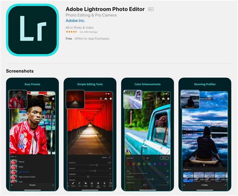 Lightroom mobile app interface with presets