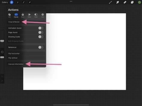 Procreate canvas with the Copy Canvas option highlighted in the Actions menu