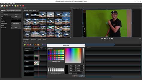 Screenshot of FlexClip's Chroma Key interface with color picker