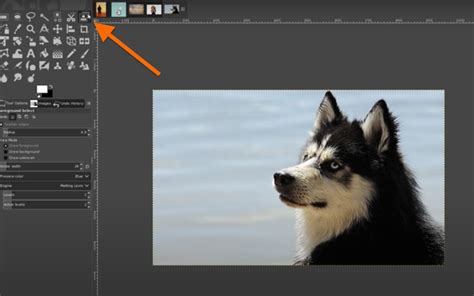 GIMP Foreground Select Tool preview showing masked areas