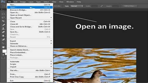 Photoshop Crop Tool interface with border and handles