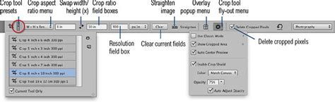 Photoshop Crop Tool Options Bar showing W x H x Resolution settings
