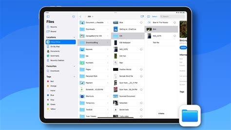 iPad screen showing the Files app with .brushset files