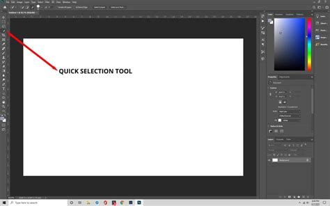 Photoshop interface showing the Quick Selection Tool actively selecting a subject from a background