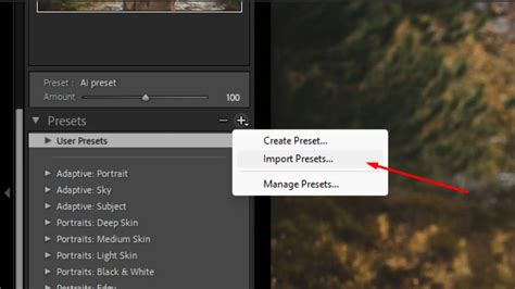 Screenshot showing Lightroom Classic import presets dialog