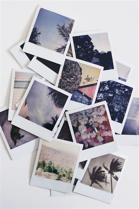 Close-up of a classic Polaroid photo with a soft, warm tone