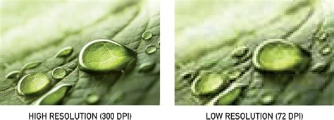 Comparison of 72 ppi vs 300 ppi image resolution for printing