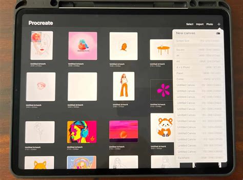 Procreate interface showing the Canvas tab with Drawing Guide options