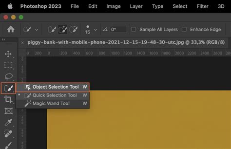 Screenshot showing the Object Selection tool highlighting a subject in Photoshop