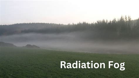 Photographic example of natural fog