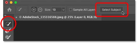 Photoshop Select Subject command in action