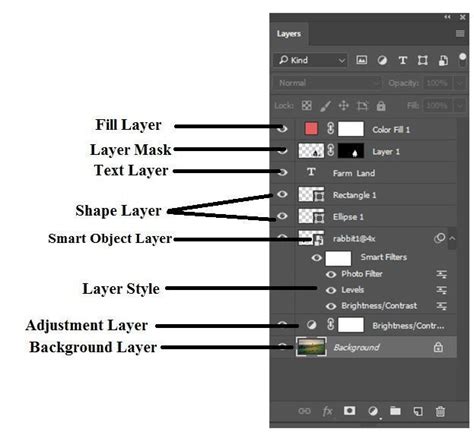 Infographic showing common Photoshop layer types and their uses
