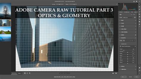 Camera Raw Filter Geometry Panel