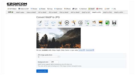 Screenshot of ezgif.com WebP to JPG converter interface