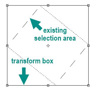 Free Transform bounding box in Photoshop