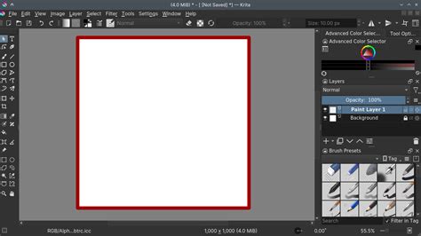Krita Canvas Only Mode showing a blank canvas with no UI elements