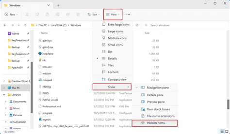 windows file explorer showing hidden files option