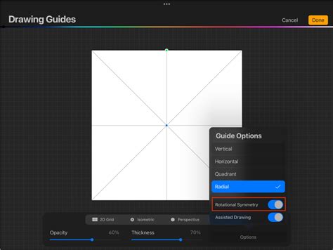 Procreate symmetry tool in action