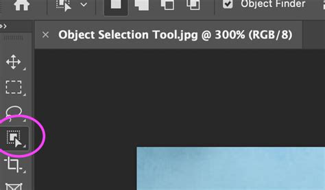 Photoshop Object Selection tool identifying a person in an image