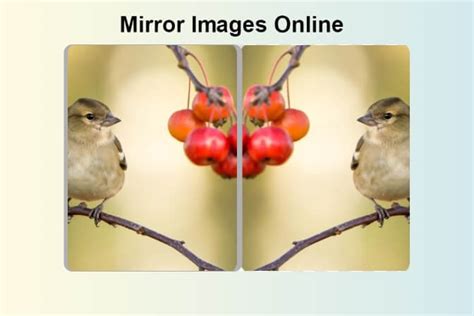 A composite image showing a building mirrored horizontally to create an abstract effect