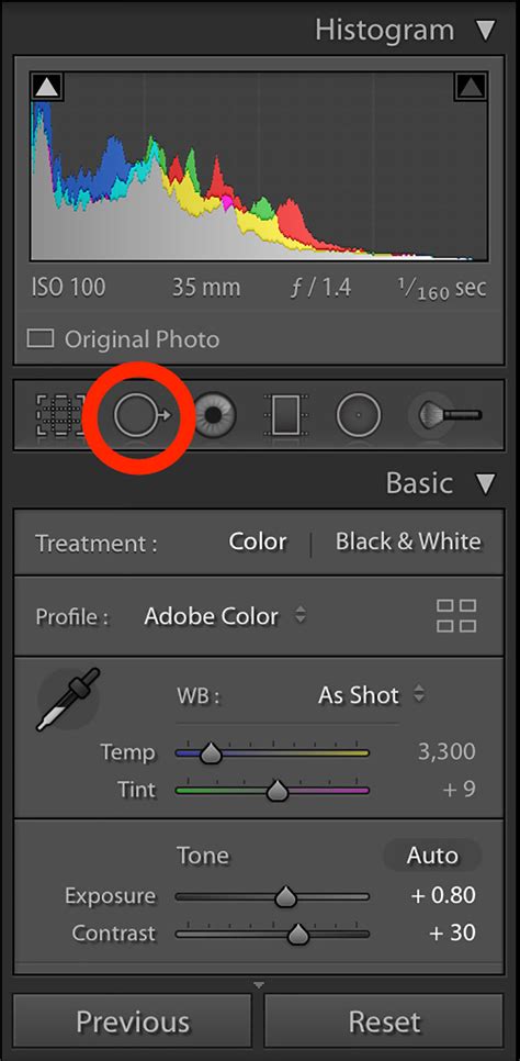 Lightroom Spot Removal Tool in action