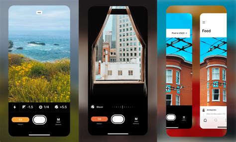 A collage of VSCO app interface showing various filter options