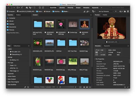Screenshot of Adobe Bridge CS6 interface