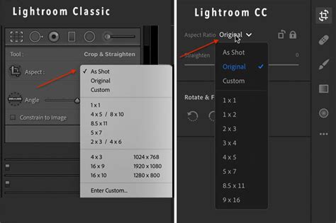 Lightroom Classic Aspect Ratio menu showing various print and web presets