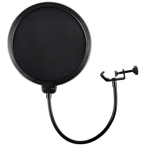 Microphone with a pop filter