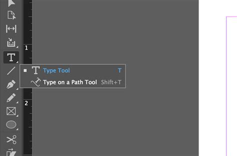 InDesign Type on a Path Options window