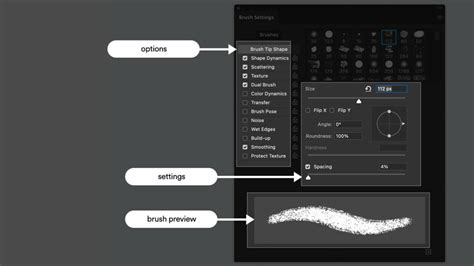 Photoshop Brush Settings panel with Shape Dynamics and Scattering options highlighted
