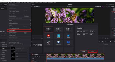 DaVinci Resolve Quick Export Window