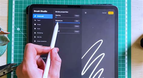 Procreate Streamline settings example