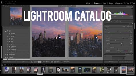 Lightroom catalog organization