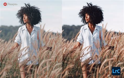 Split image showing before and after applying a boho preset