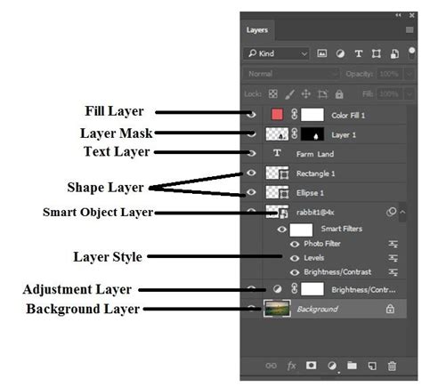 Different Layer Types in Photoshop