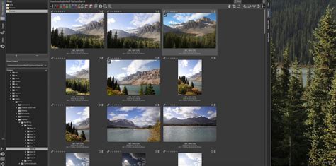 RawTherapee user interface with various editing panels visible