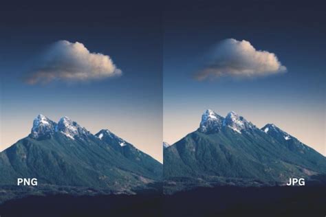 Comparison of image formats: PNG with transparency vs JPEG with white background