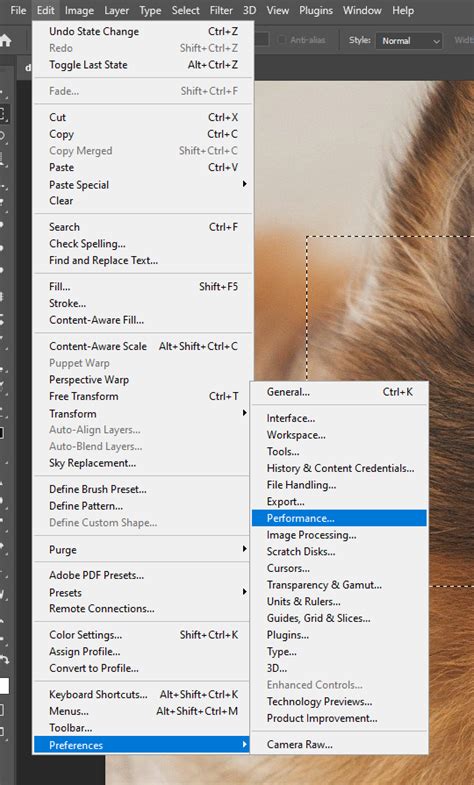 Photoshop History Panel with a long list of states